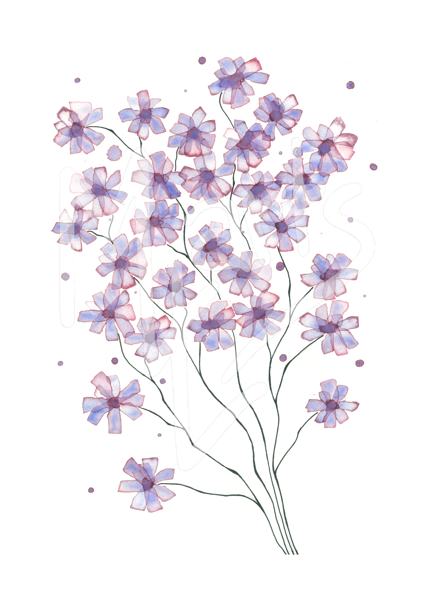 Violet