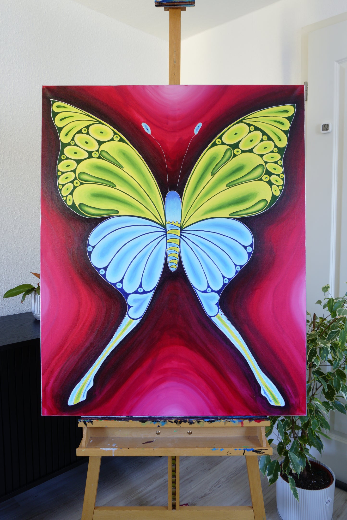 Butterfly