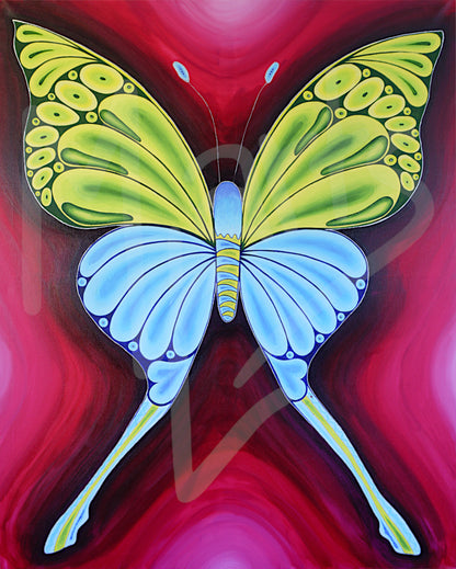 Butterfly