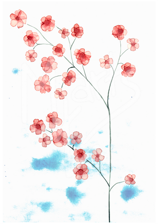 Cherry