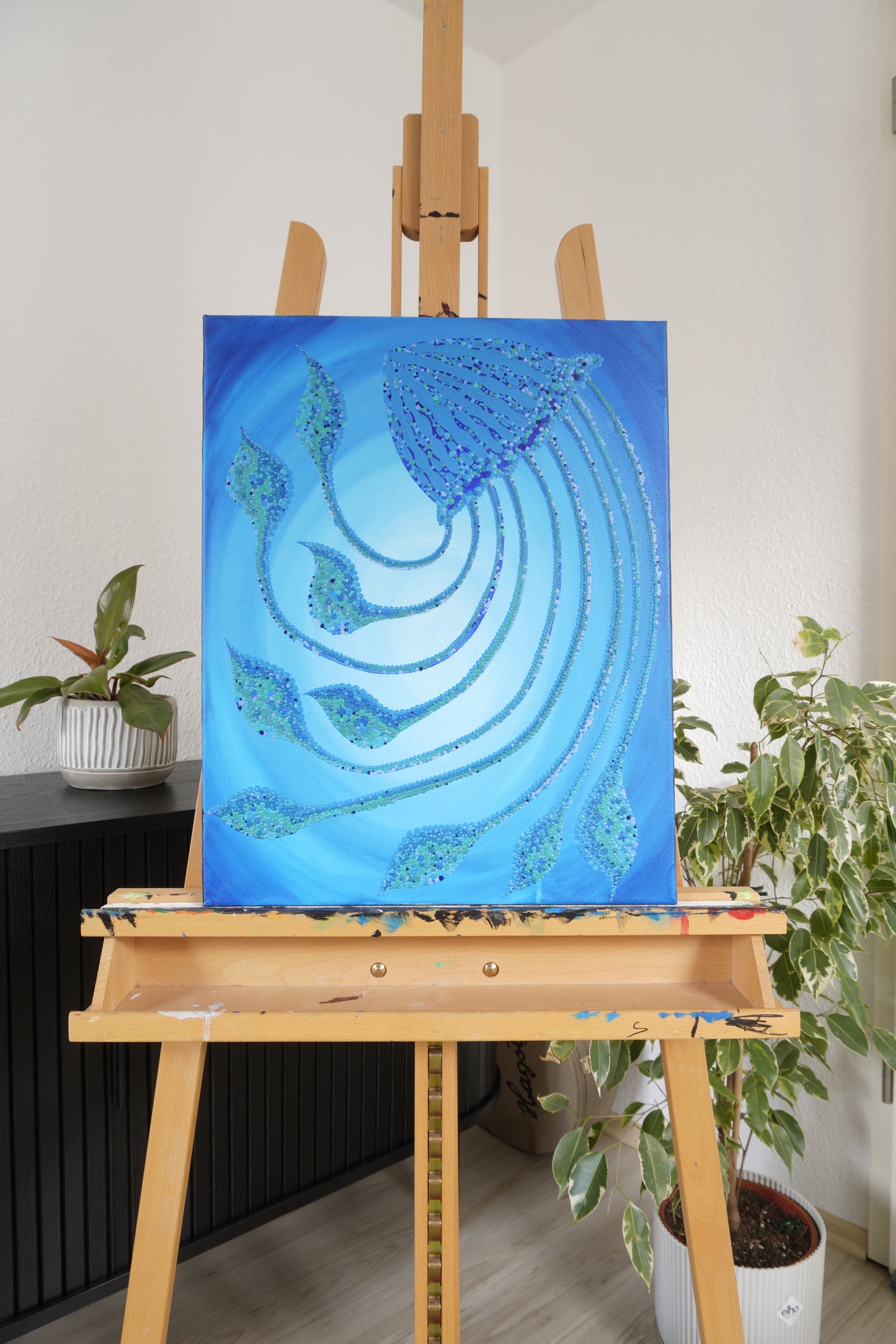 Jellyfish
