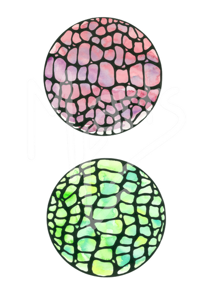 Pink and Green Cells