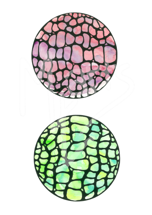 Pink and Green Cells