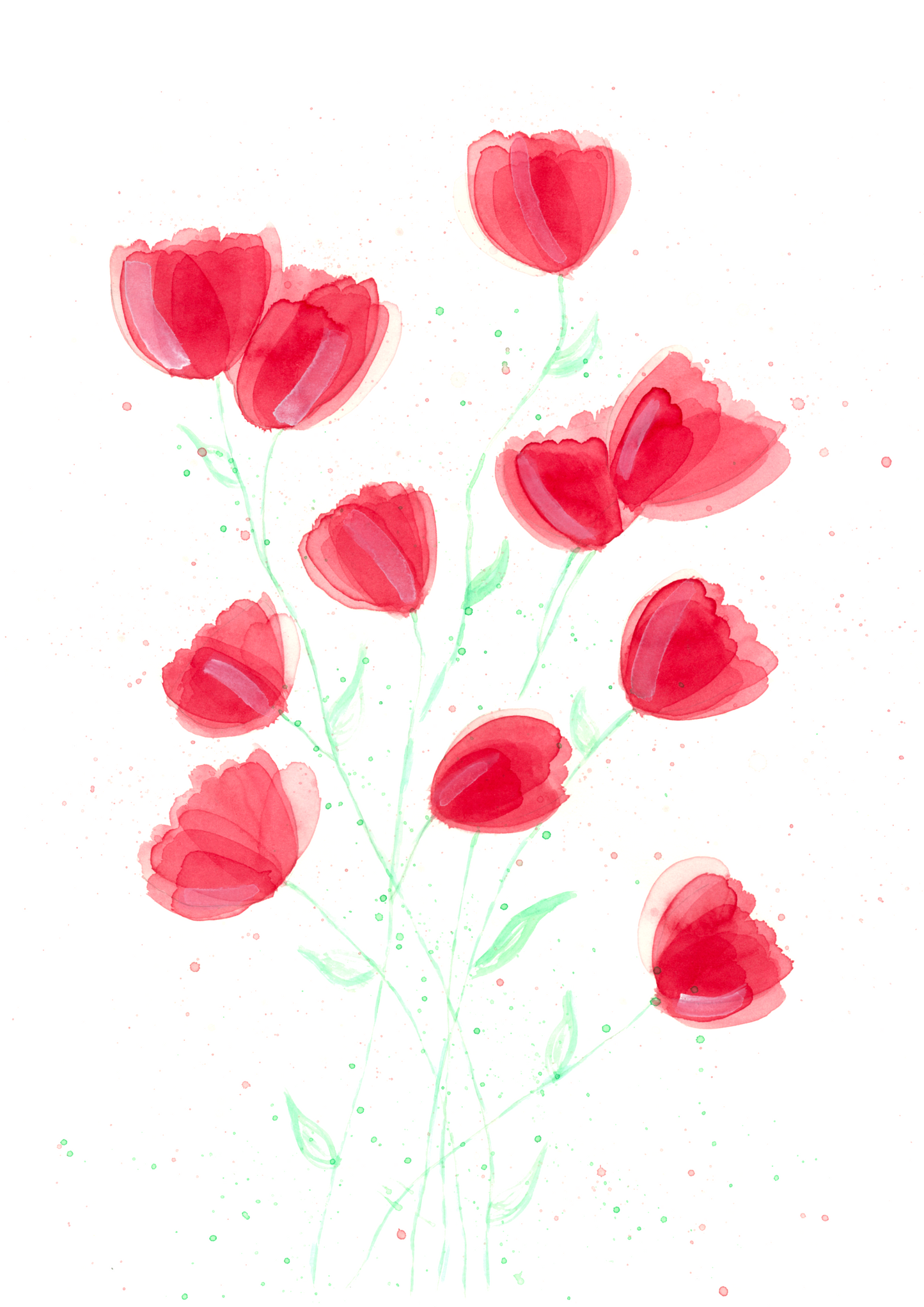Poppies