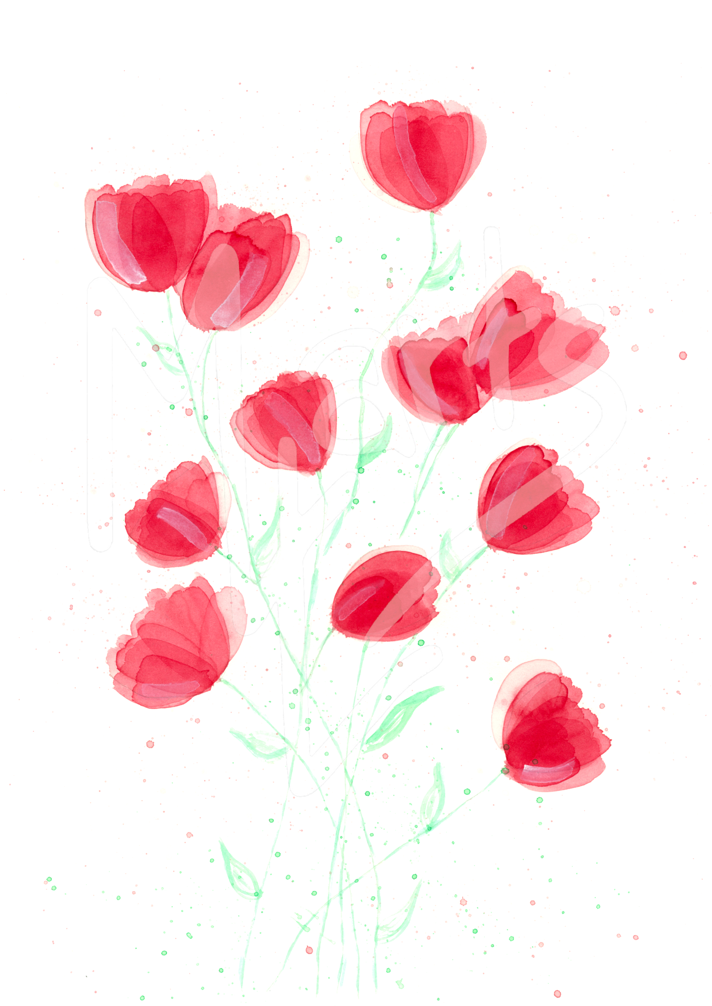 Poppies