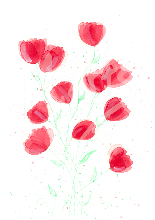 Poppies